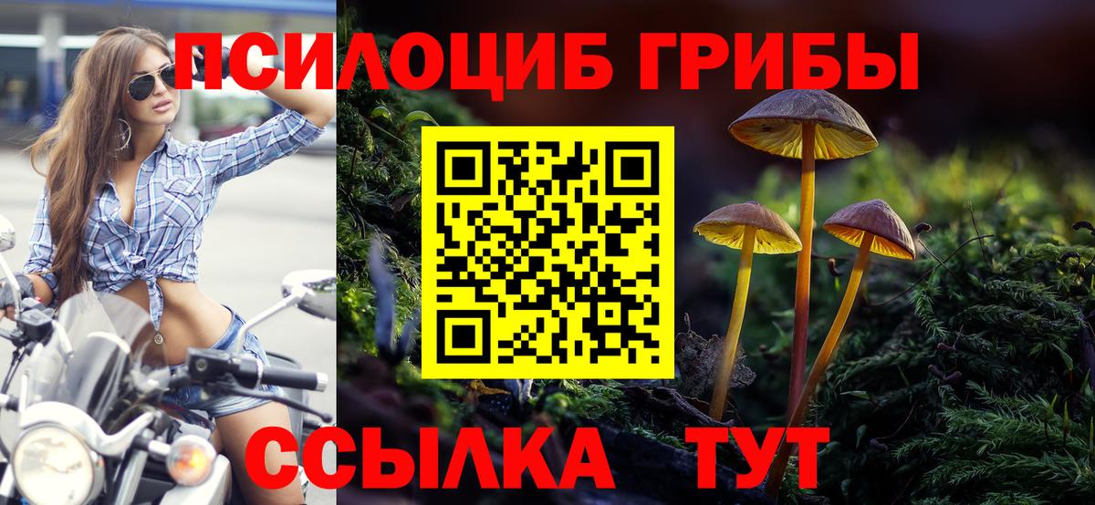 Галлюциногенные грибы Cubensis Магнитогорск