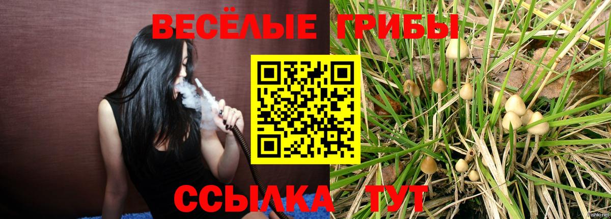 Магнитогорск  Псилоцибиновые грибы MAGIC MUSHROOMS  Вход с VPN 